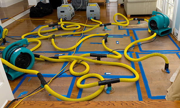 Professional Storm Water Damage Restoration technician working in Palisades, NY